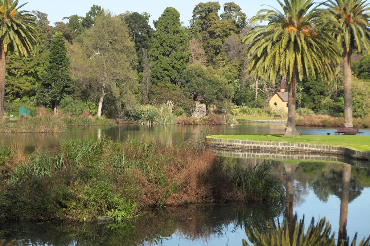 Un lac bordé de roseaux dans les Royal Botanic Gardens, avec des palmiers et une petite maisonnette sur la rive opposée.